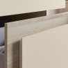 Hiroshi 615mm Wall Hung Double Drawer Vanity Units