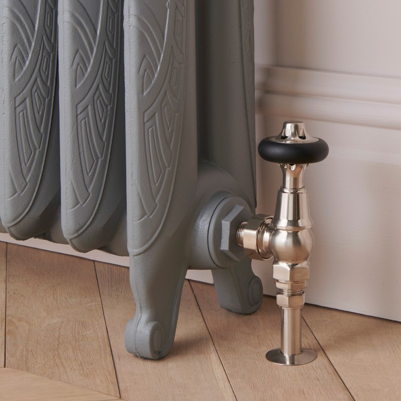 Shelby 570mm 2 Column Ornamental Cast Iron Radiator - Insitu