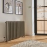 570mm (h) Neville 2 Column Traditional Cast Iron Radiators