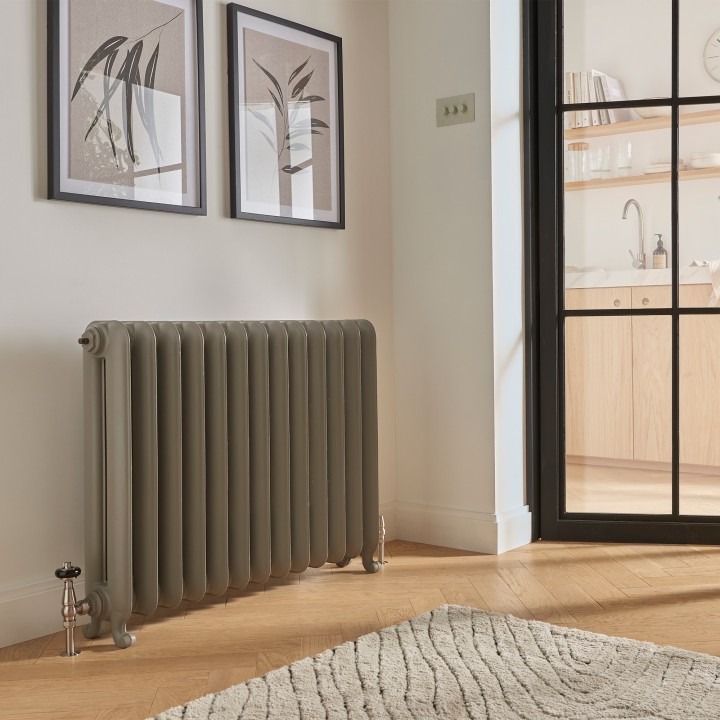 740mm (h) Neville 2 Column Traditional Cast Iron Radiators