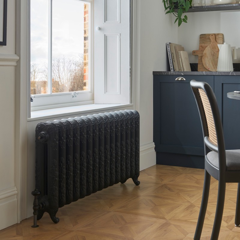 590mm (h) Albion 2 Column Traditional Cast Iron Radiators