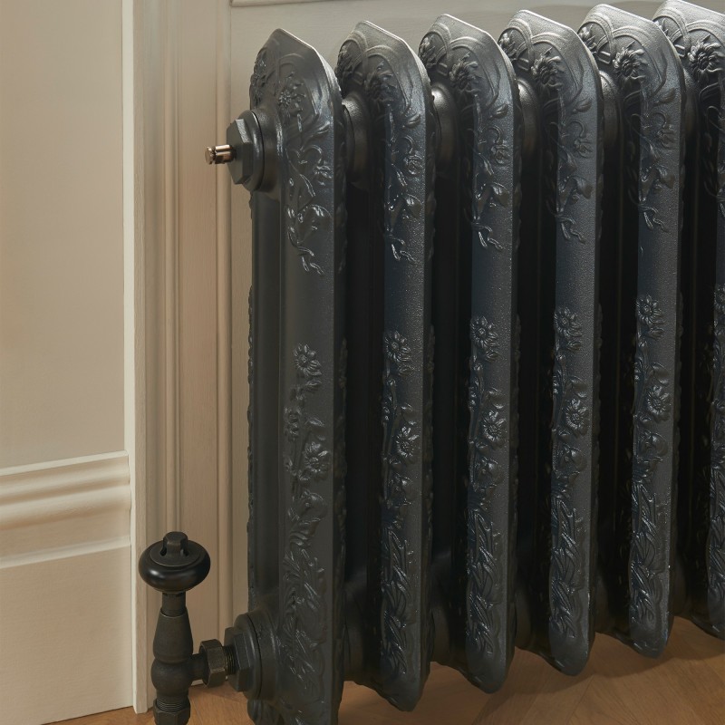 590mm (h) Albion 2 Column Traditional Cast Iron Radiators