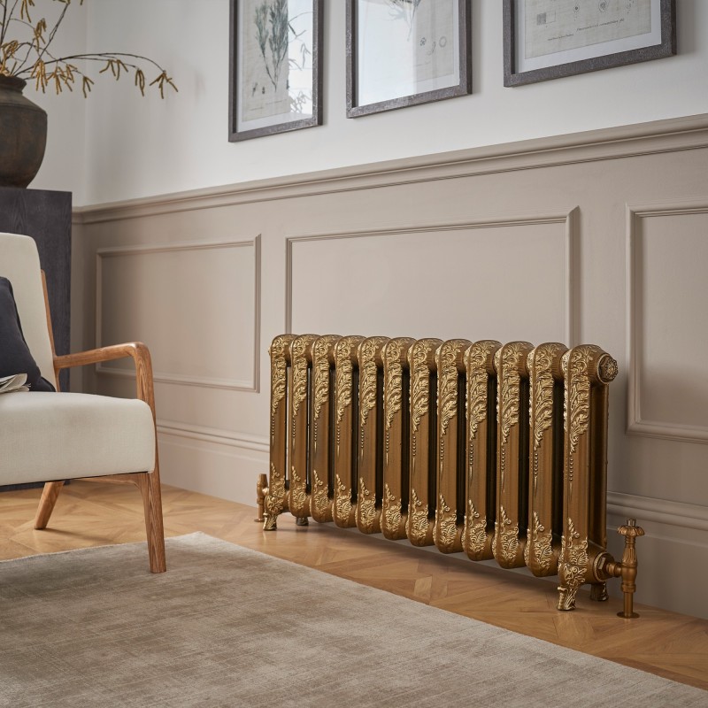 Regal 540mm 2 Column Cast Iron Radiator - Insitu