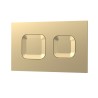 brushed brass flush plate - closeup