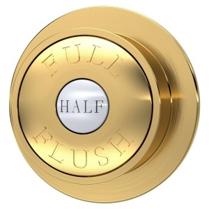Dual Flush Concealed Cistern Side Inlet & Brushed Brass Traditional Flush Plate