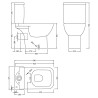 Ivo Rimless Close Coupled Open Back Toilet & Slim Soft Close Seat