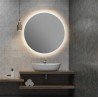 Branch Steam Free Colour Changing Mirrors - Insitu