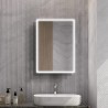 Kia Steam Free Colour Changing LED Mirror Cabinet - 500mm (w) x 700mm (h)