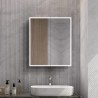 Kia Steam Free Colour Changing LED Mirror Cabinet - 600mm (w) x 700mm (h)