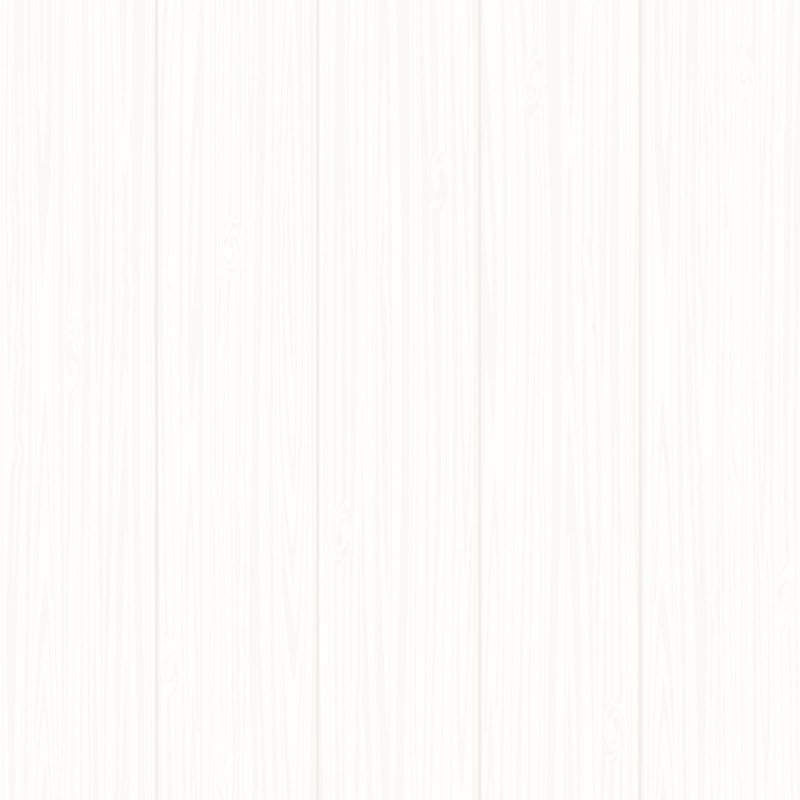 Grained Alpine White Shiplap - Naturepanel - Close Up