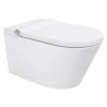 Wall Mounted Smart Toilet