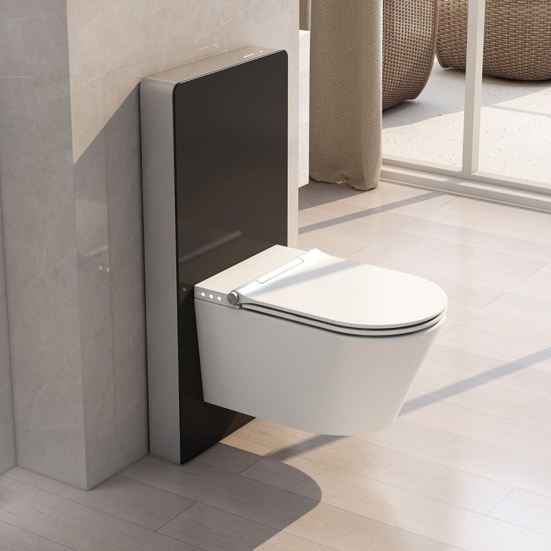 Wall Mounted Smart Toilet