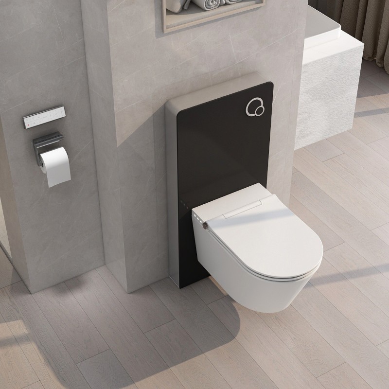 Wall Mounted Smart Toilet