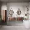 Hades 500mm (w) Wall Hung 2 Drawer Basin Unit & Basin