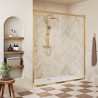 Elin Framed Brushed Brass Sliding Shower Door 1000mm to 1700mm (w) - 7 Sizes