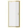 Elin Brushed Brass Framed Pivot Shower Doors 700mm to 900mm (w) - 4 Sizes