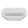 Freestanding Double Ended Luxury Bath & Integrated Waste - 1655mm(l) x 745mm(w) x 580mm(h) - Closeup