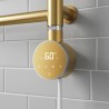 Brass Cleo Slimline Round Smart WIFI - closeup