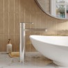 Arvan Chrome High-Rise Mono Basin Mixer Tap - Insitu