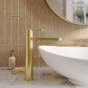 Arvan Brushed Brass High-Rise Mono Basin Mixer Tap - Insitu
