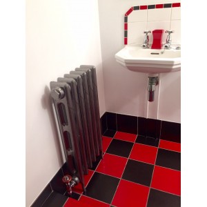 The "Victoria" 2 Column 760mm (H) Traditional Victorian Cast Iron Radiator (3 to 30 Sections Wide) - Painted Polish Effect