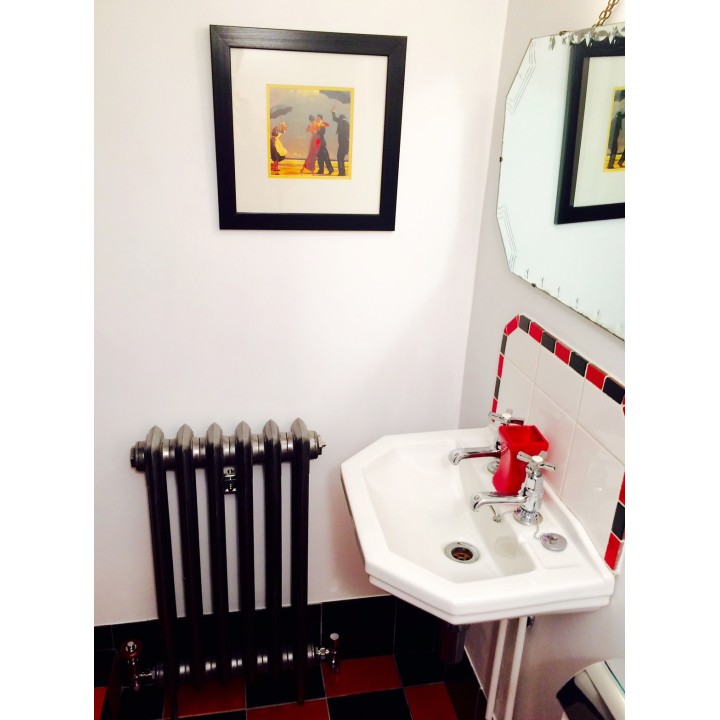 The "Victoria" 2 Column 760mm (H) Traditional Victorian Cast Iron Radiator (3 to 30 Sections Wide) - Painted Polish Effect