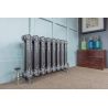 540mm (h) Regal 2 Column Traditional Cast Iron Radiators