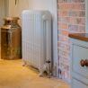 The "Albion" 2 Column 790mm (H) Traditional Victorian Cast Iron Radiator - 