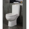 Tonique 373mm(W) X 830mm(H) Close Coupled Toilet - Insitu