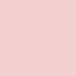 Blush Solid Colour Acrylic - Showerwall Panels - Swatch