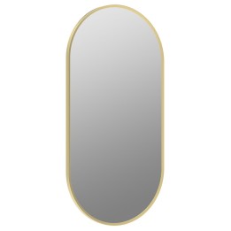 Virginia Brushed Brass 400mm(w) x 800mm(h) Oblong Mirror