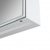 California 500mm(w) 1 Door Front-Lit LED Mirror Cabinet
