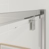 Ceri Framed Pivot Shower Doors