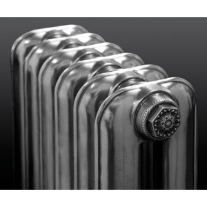 The "Neville" 2 Column 570mm (H) Traditional Victorian Cast Iron Radiator - Polished