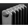 The "Embassy" 2 Column 440mm (H) Traditional Victorian Cast Iron Radiator - Polished