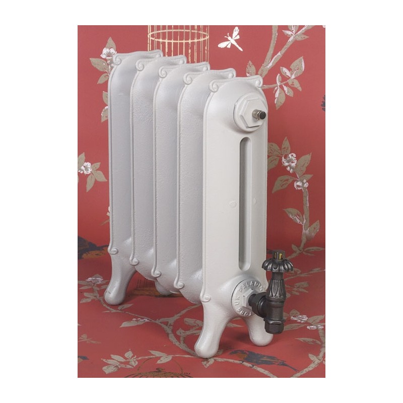 The "Mulberry" 2 Column 450mm (H) Traditional Victorian Cast Iron Radiator - All White