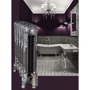 The "Regal" 2 Column 540mm (H) Traditional Victorian Cast Iron Radiator - Natural Cast with a Pewter Highlight 
