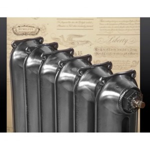 The "Mulberry" 2 Column 750mm (H) Traditional Victorian Cast Iron Radiator - Polished