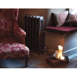 The "Albion" 2 Column 790mm (H) Traditional Victorian Cast Iron Radiator - Polished