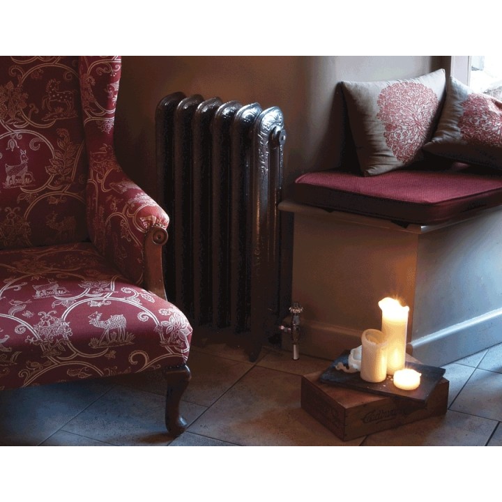 The "Albion" 2 Column 790mm (H) Traditional Victorian Cast Iron Radiator - Polished