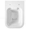 Rimless 350mm (w) x 355mm (h) x 490mm (d) Wall Hung Toilet Pan with Quick Release Soft Close Toilet Seat - Insitu