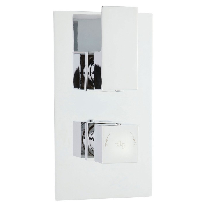 Art Twin Valve with Built In Diverter Rectangular Plate