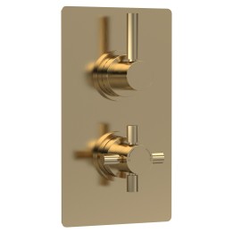 Tec Pura Brushed Brass Twin Thermostatic Shower Valve