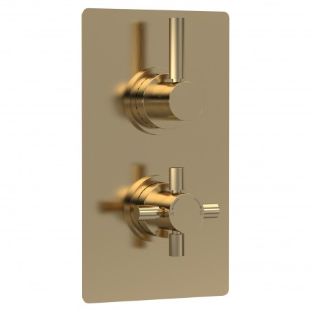 Tec Pura Brushed Brass Twin Thermostatic Shower Valve