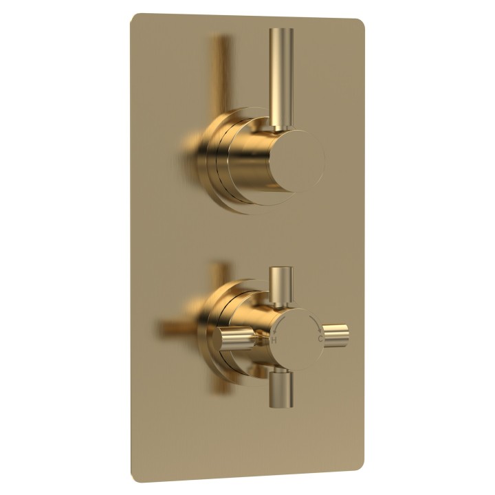 Tec Pura Brushed Brass Twin Thermostatic Shower Valve