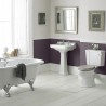 Richmond 465mm (w) x 795mm (h) Close Coupled Traditional Toilet (Seat Not Included) - Insitu