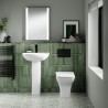 Ava Back To Wall Toilet Pan & Soft Close Seat - Insitu