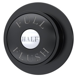 Traditional Matt Black Dual Flush Button