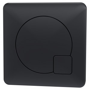 Square Dual Flush Black Push Button