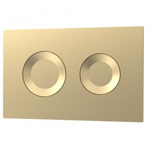 Brushed Brass Round Dual Flush Push Button